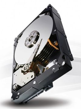 Hard Disk Seagate Enterprise Capacity 3.5, 1000 GB, 7200 RPM
