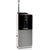Radio portabil Philips AE1530/00, Negru / Argintiu