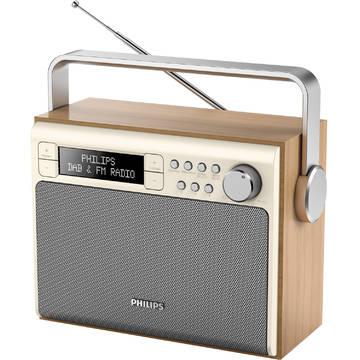 AE5020, Tuner FM, 3 W RMS