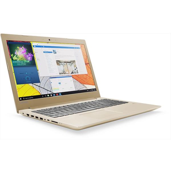 Laptop Lenovo IdeaPad 520 IKB, Intel Core i5-8250U, 8 GB, 2 TB, Free DOS, Auriu