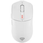 Mouse GENESIS GENESIS Zircon 500 mouse Gaming