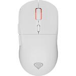 Mouse GENESIS Mouse Genesis WS Zircon 3 26000 DPI alb